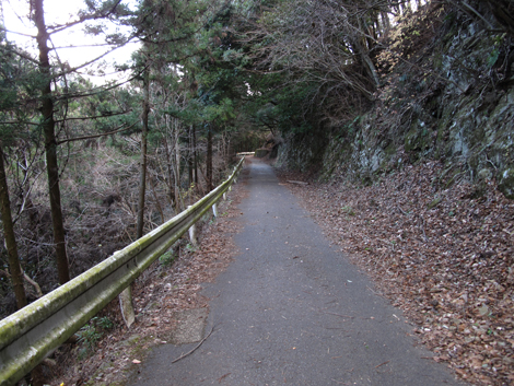 20170113hike (505)